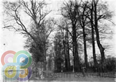 TH\CT\PI\PR\0119_th.jpg; 119; ;